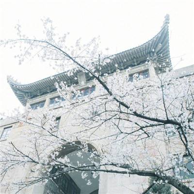 熊猫博士小镇商场破解版下载最新版